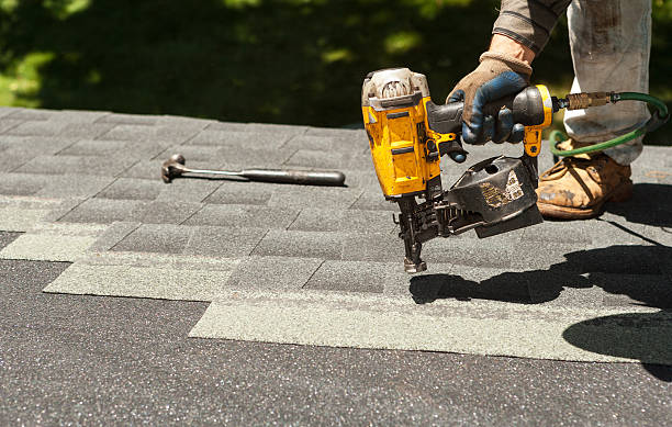 Roof Gutter Cleaning in Polo, IL