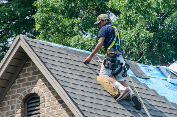 Best Residential Roofing Contractor  in Polo, IL
